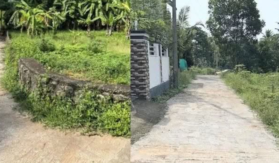 home-1