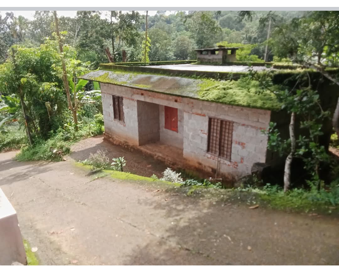 home-1