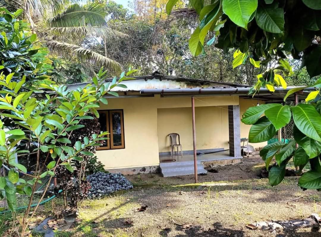 home-1