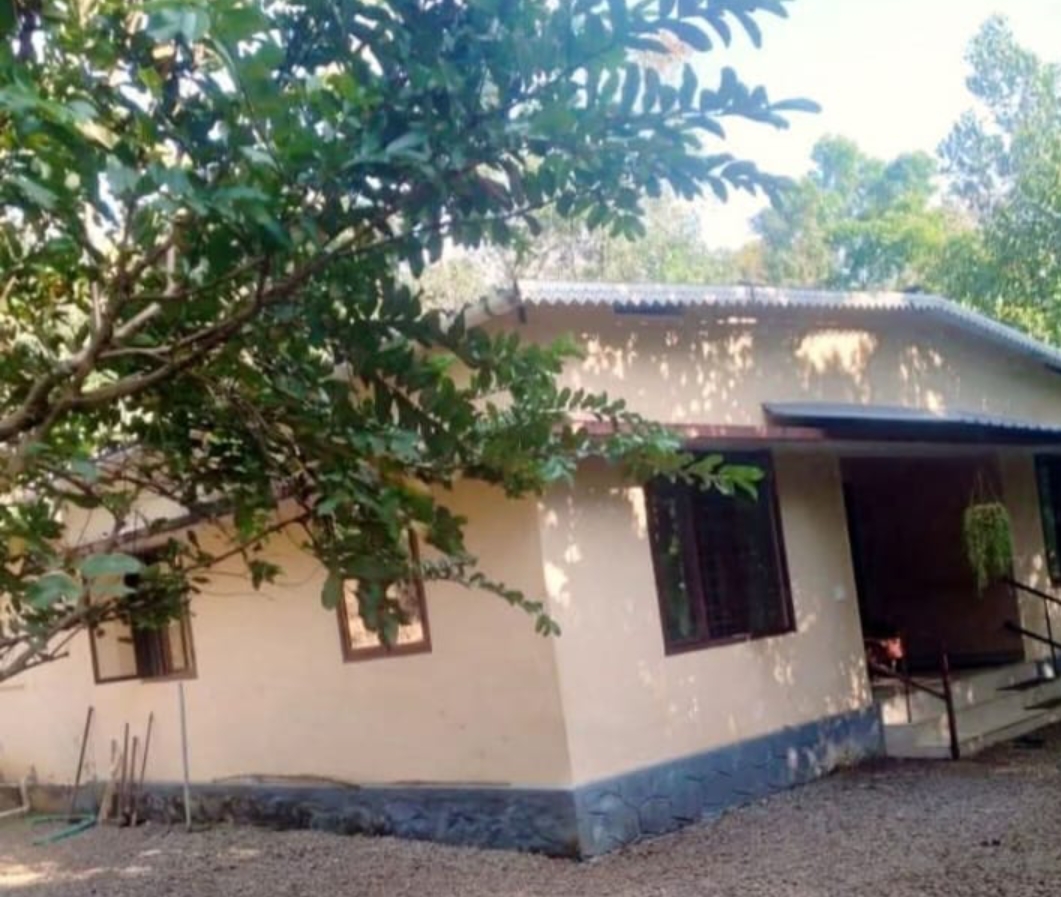 home-1