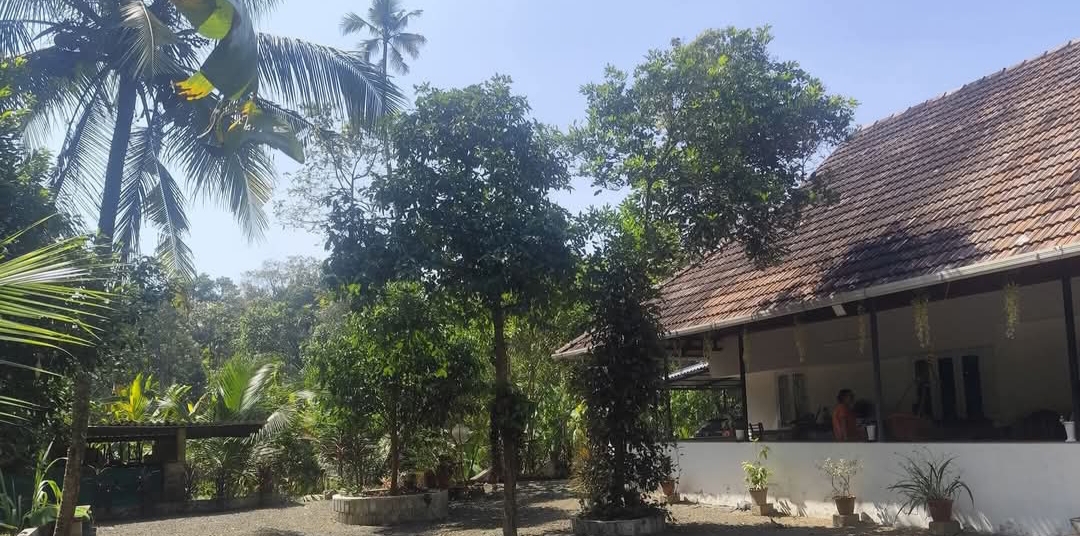 home-1