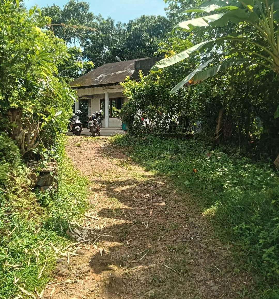 home-1