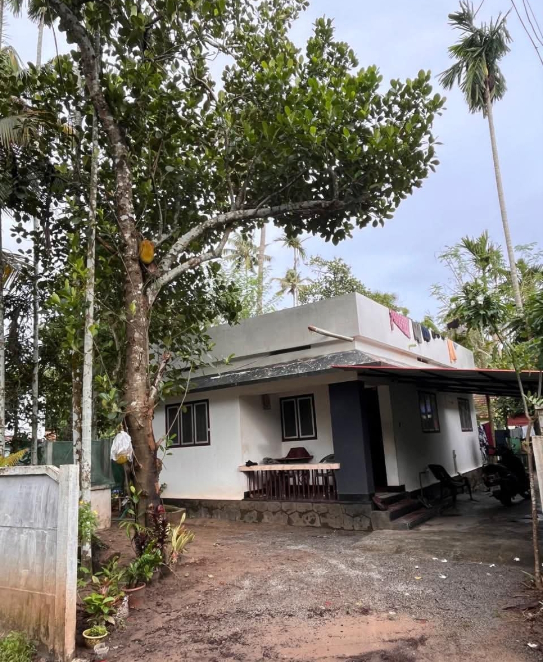 home-1
