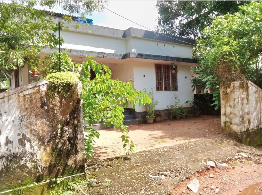 home-1