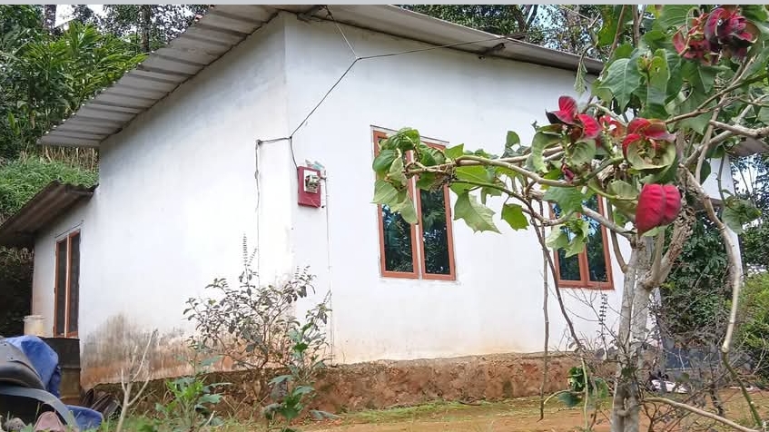 home-1
