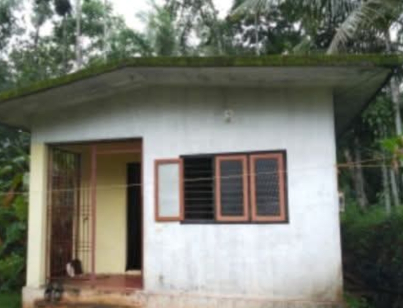 home-1