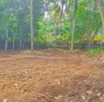 home-1