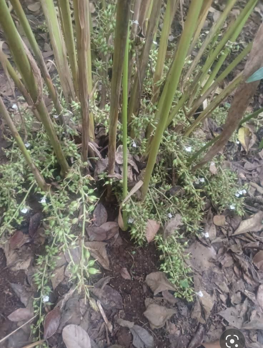 home-1