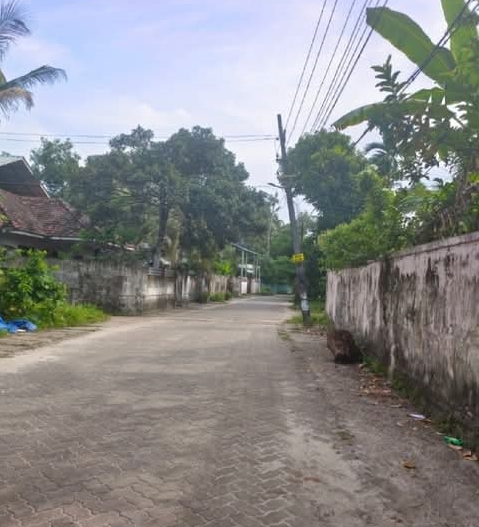 home-1