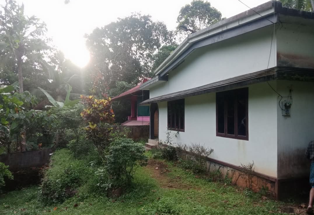 home-1
