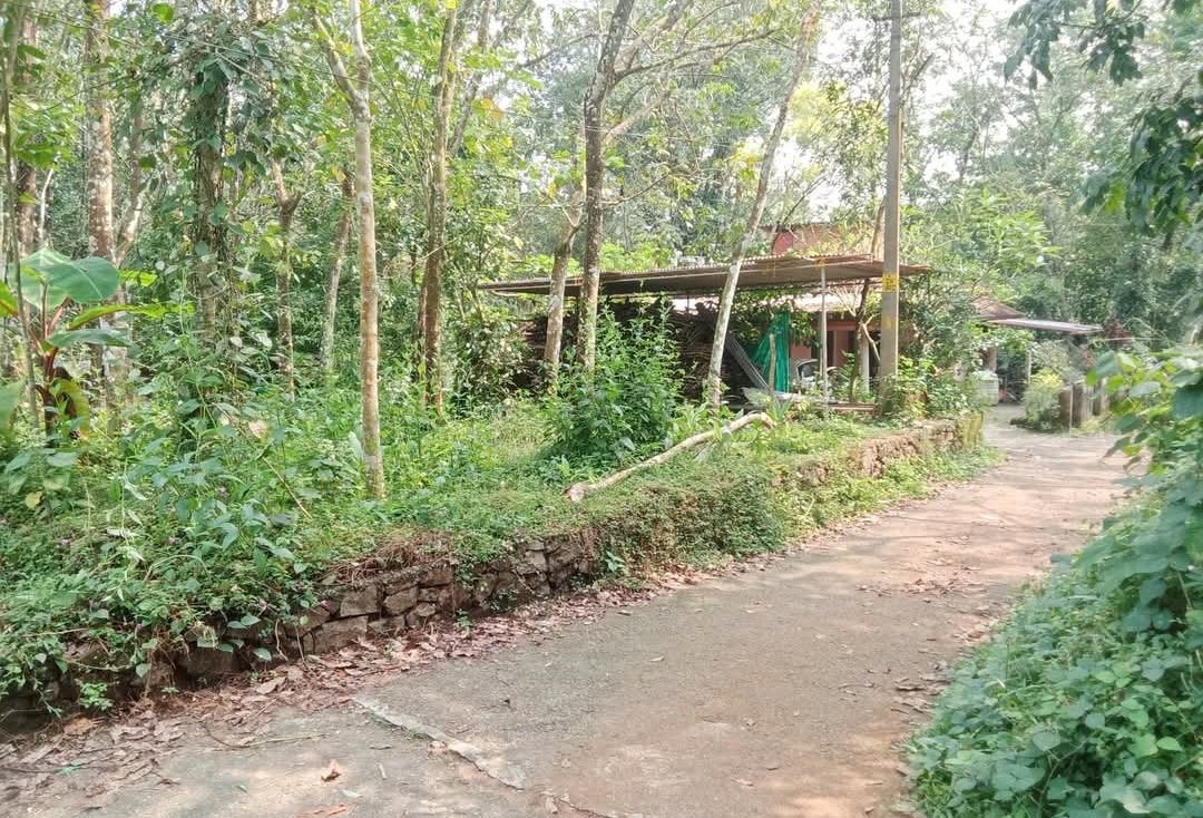 home-1