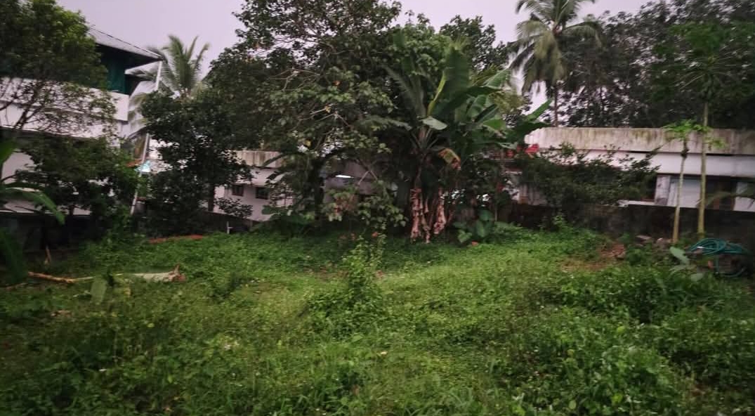 home-1