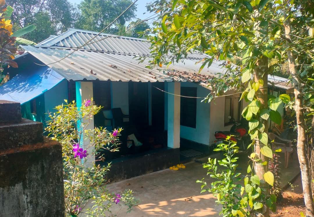 home-1