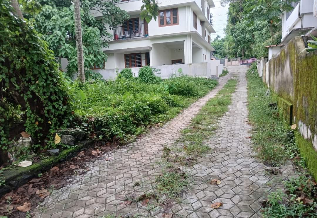 home-1