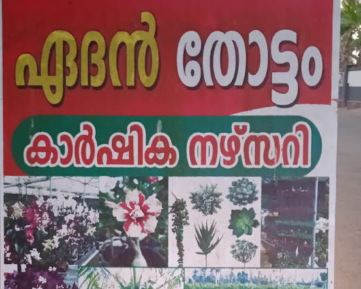home-1