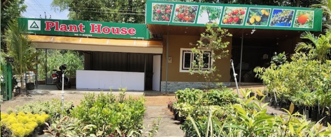 home-1