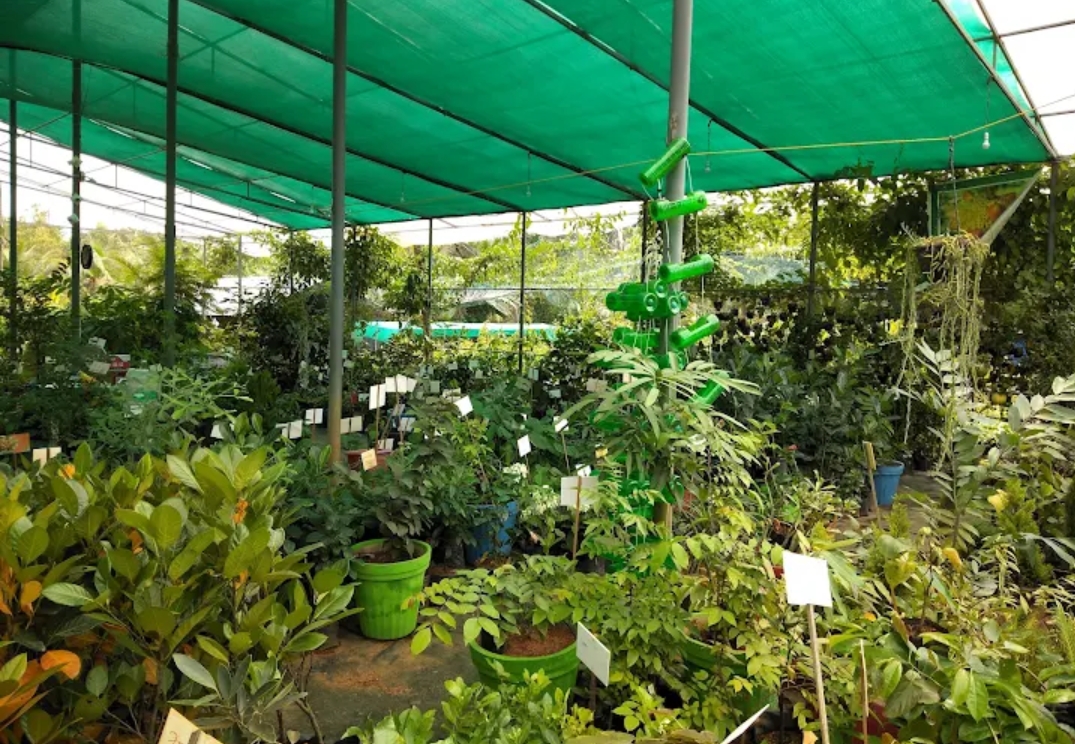 home-1