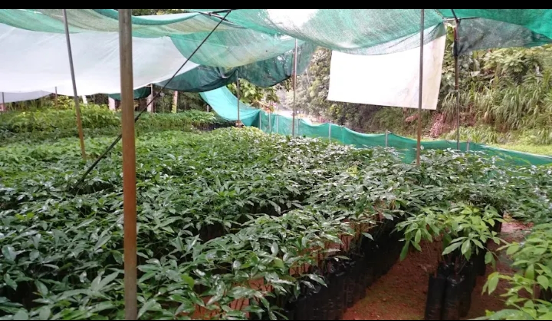 slider-listing
