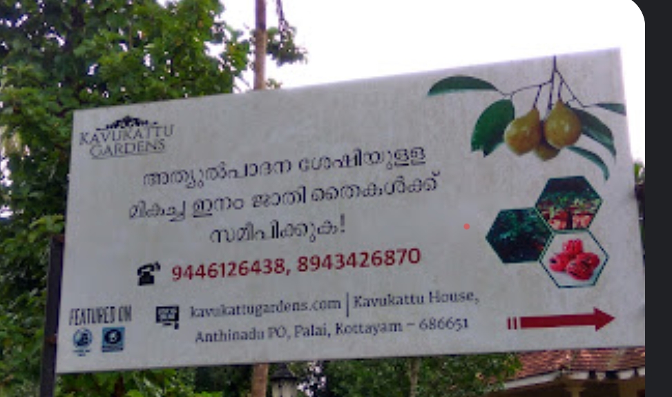 home-1