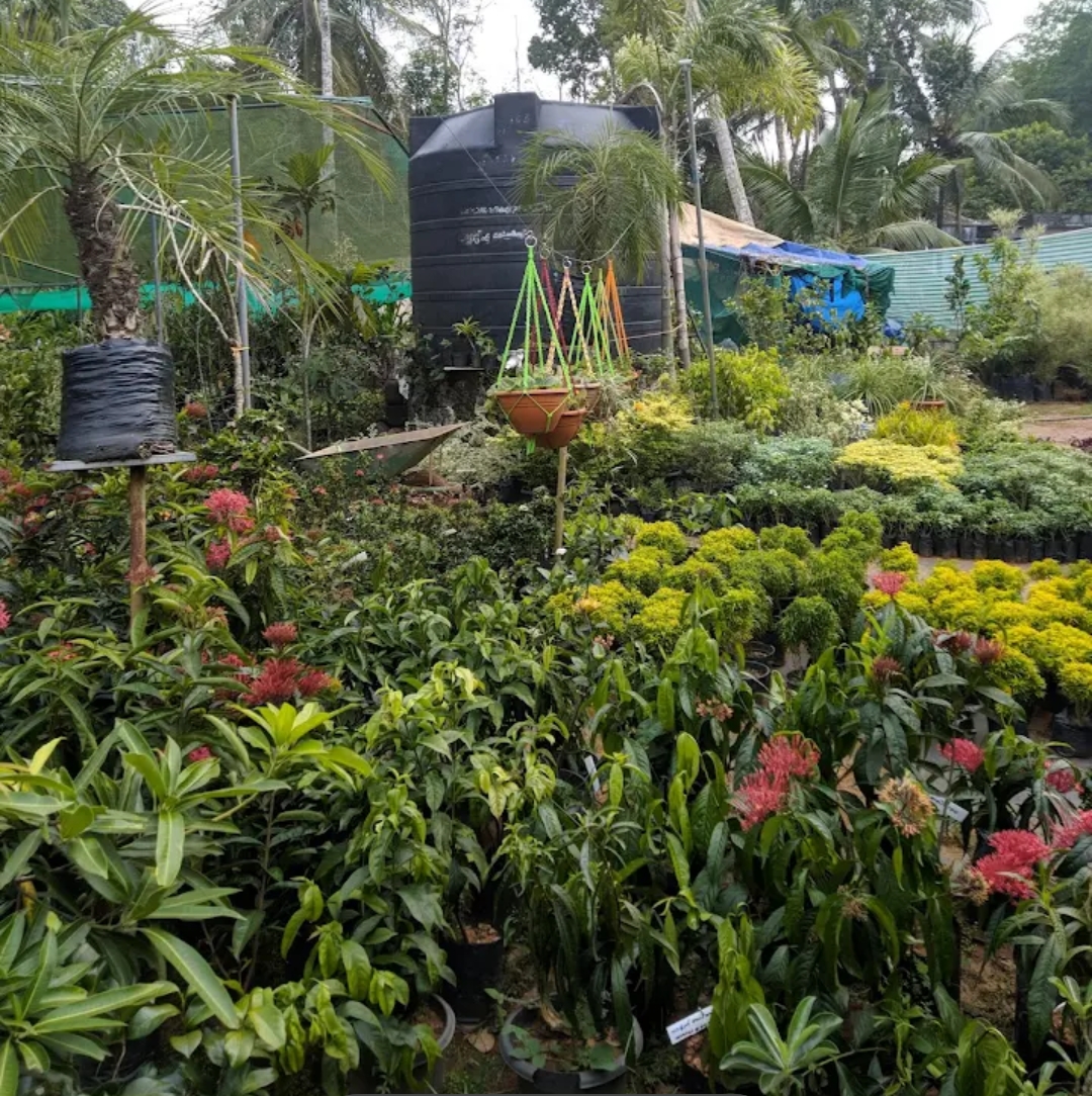 home-1